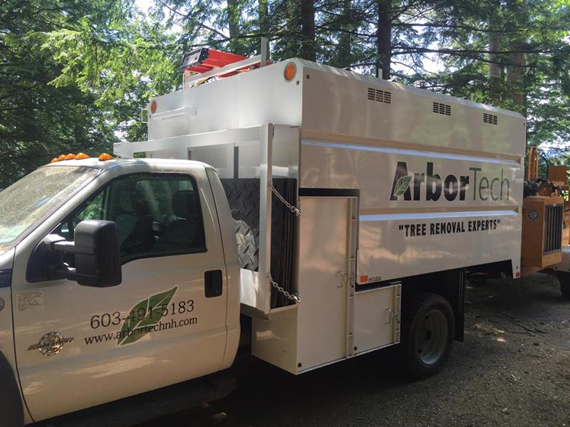 ArborTech NH tree care project 1 - Professional tree removal, pruning, or stump grinding service in New Hampshire