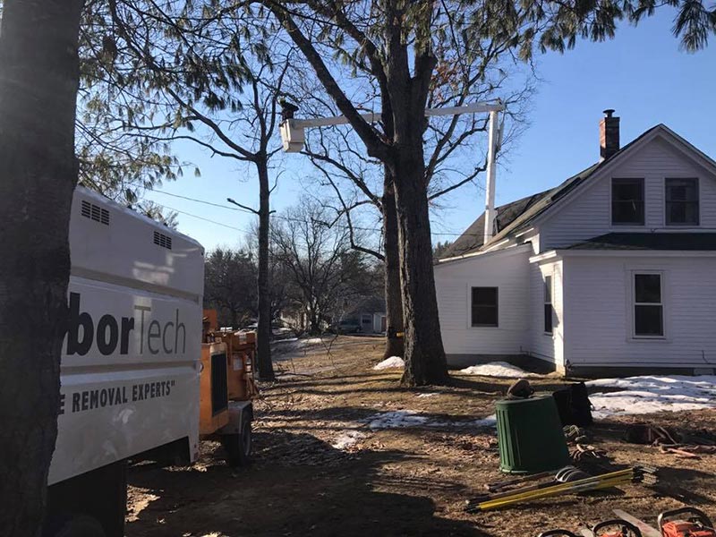 ArborTech NH tree care project 12 - Professional tree removal, pruning, or stump grinding service in New Hampshire