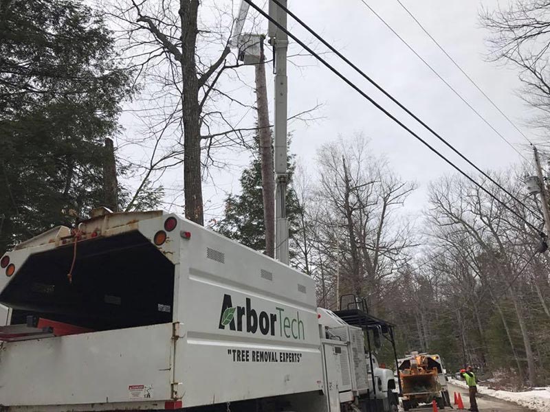 ArborTech NH tree care project 13 - Professional tree removal, pruning, or stump grinding service in New Hampshire