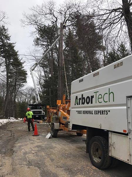 ArborTech NH tree care project 14 - Professional tree removal, pruning, or stump grinding service in New Hampshire