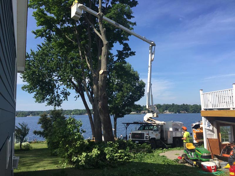 ArborTech NH tree care project 15 - Professional tree removal, pruning, or stump grinding service in New Hampshire