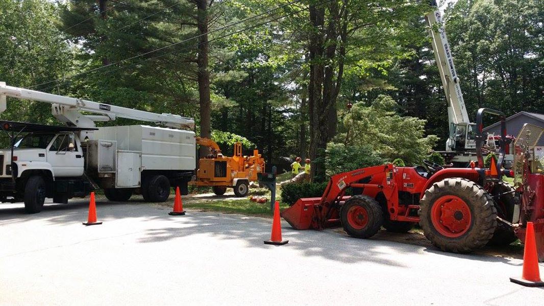 ArborTech NH tree care project 17 - Professional tree removal, pruning, or stump grinding service in New Hampshire