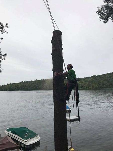 ArborTech NH tree care project 21 - Professional tree removal, pruning, or stump grinding service in New Hampshire