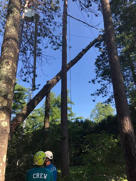 ArborTech NH tree care project 23 - Professional tree removal, pruning, or stump grinding service in New Hampshire