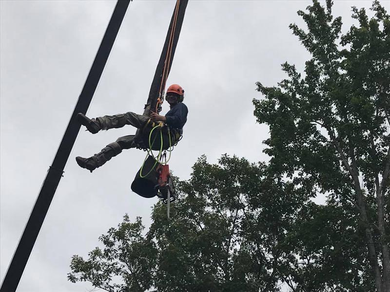 ArborTech NH tree care project 24 - Professional tree removal, pruning, or stump grinding service in New Hampshire