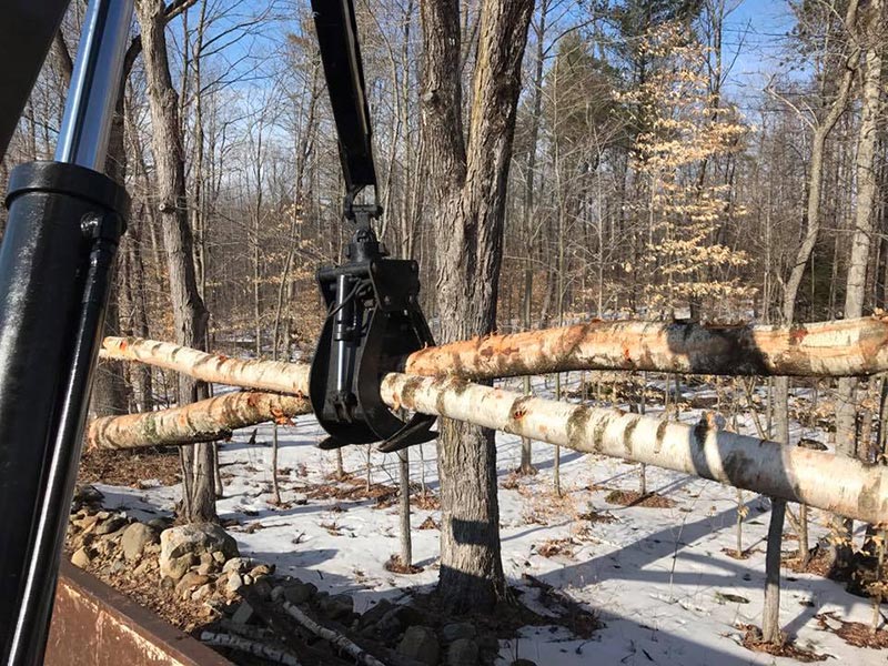 ArborTech NH tree care project 25 - Professional tree removal, pruning, or stump grinding service in New Hampshire