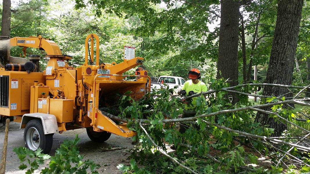 ArborTech NH tree care project 26 - Professional tree removal, pruning, or stump grinding service in New Hampshire