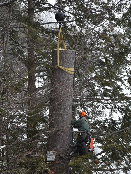 ArborTech NH tree care project 32 - Professional tree removal, pruning, or stump grinding service in New Hampshire