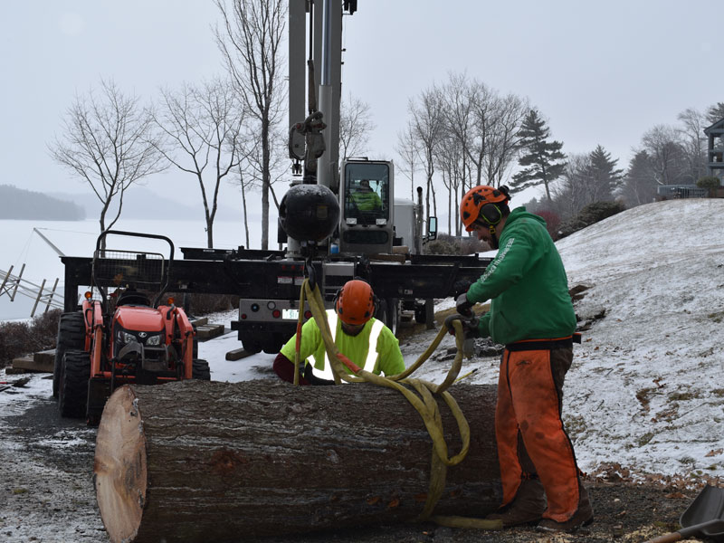 ArborTech NH tree care project 43 - Professional tree removal, pruning, or stump grinding service in New Hampshire