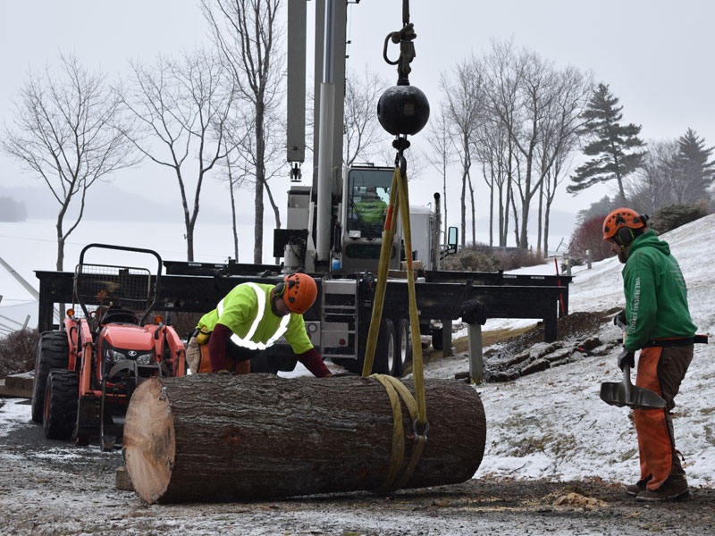 ArborTech NH tree care project 44 - Professional tree removal, pruning, or stump grinding service in New Hampshire