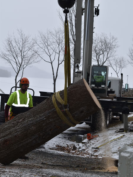 ArborTech NH tree care project 45 - Professional tree removal, pruning, or stump grinding service in New Hampshire