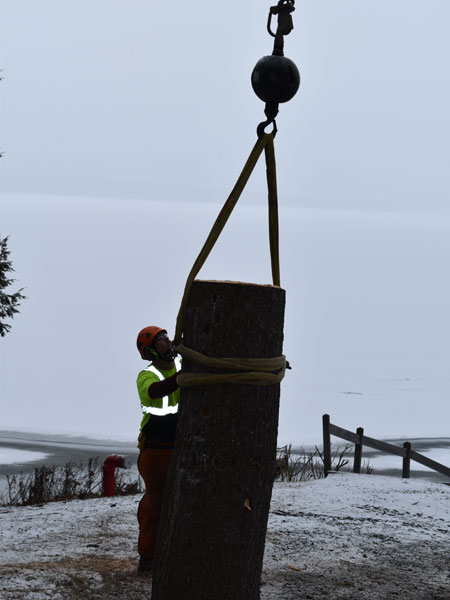 ArborTech NH tree care project 46 - Professional tree removal, pruning, or stump grinding service in New Hampshire