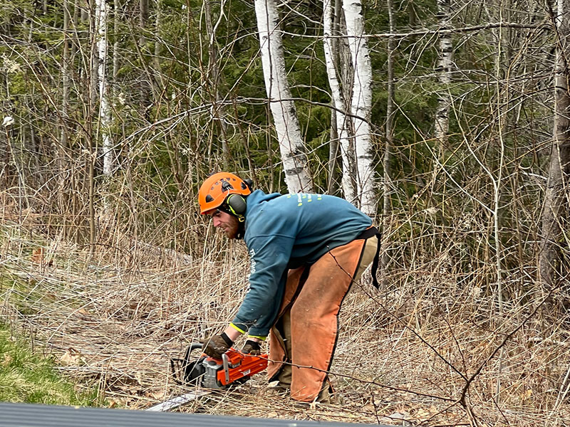 ArborTech NH tree care project 59 - Professional tree removal, pruning, or stump grinding service in New Hampshire