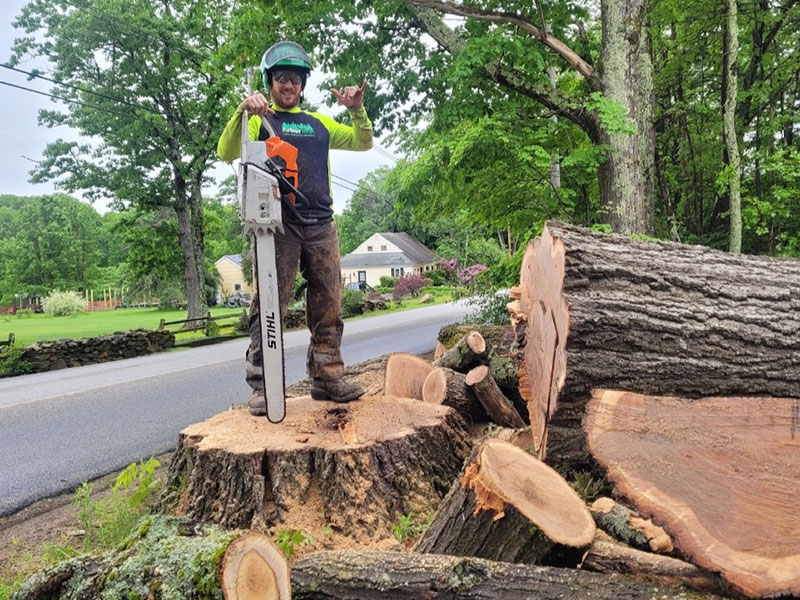 ArborTech NH tree care project 60 - Professional tree removal, pruning, or stump grinding service in New Hampshire