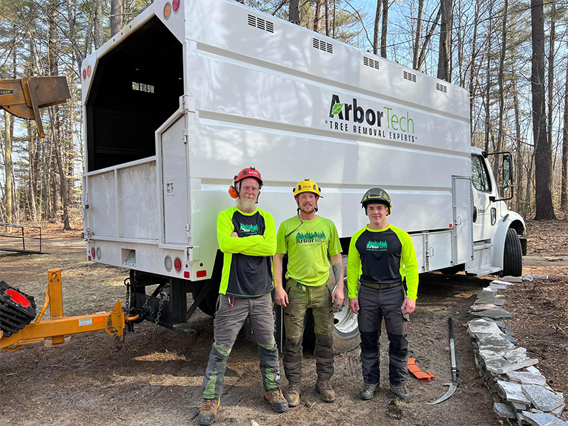 ArborTech NH tree care project 63 - Professional tree removal, pruning, or stump grinding service in New Hampshire