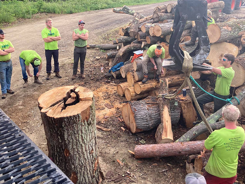 ArborTech NH tree care project 64 - Professional tree removal, pruning, or stump grinding service in New Hampshire