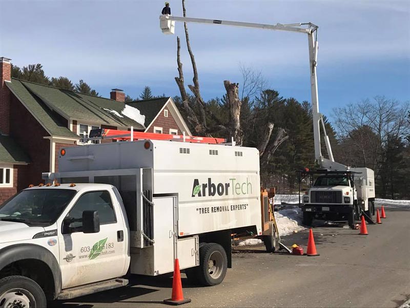 ArborTech NH tree care project 8 - Professional tree removal, pruning, or stump grinding service in New Hampshire