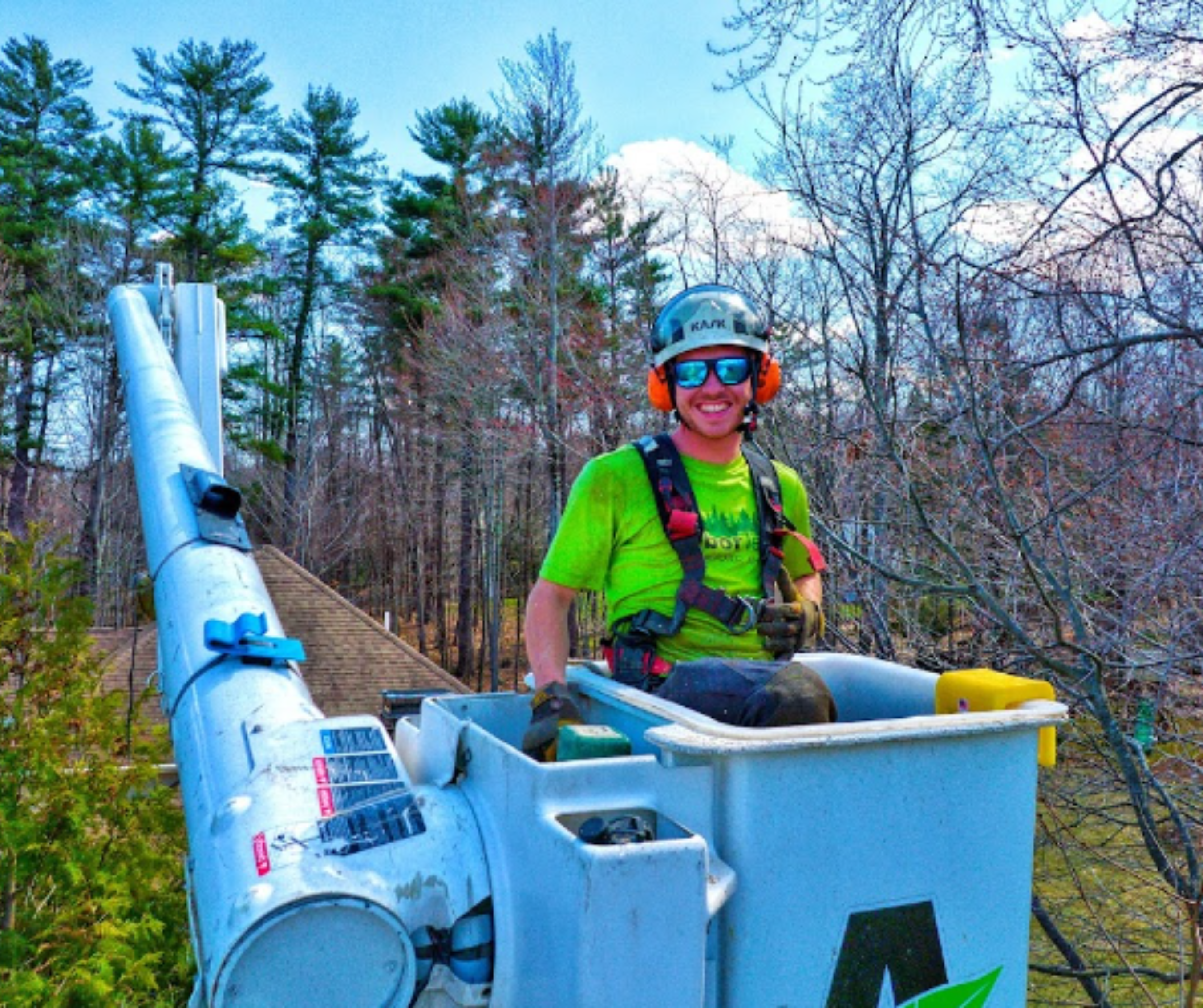 Tree Pruning Service